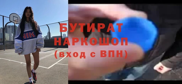 индика Гусь-Хрустальный